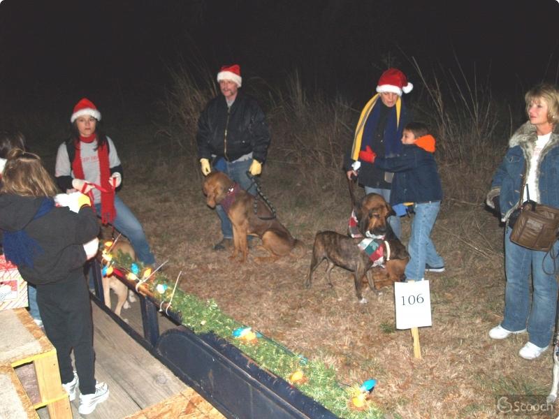 Parade of Lights