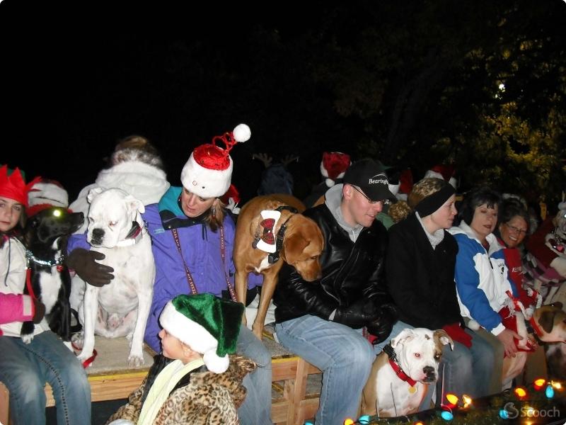 Parade of Lights