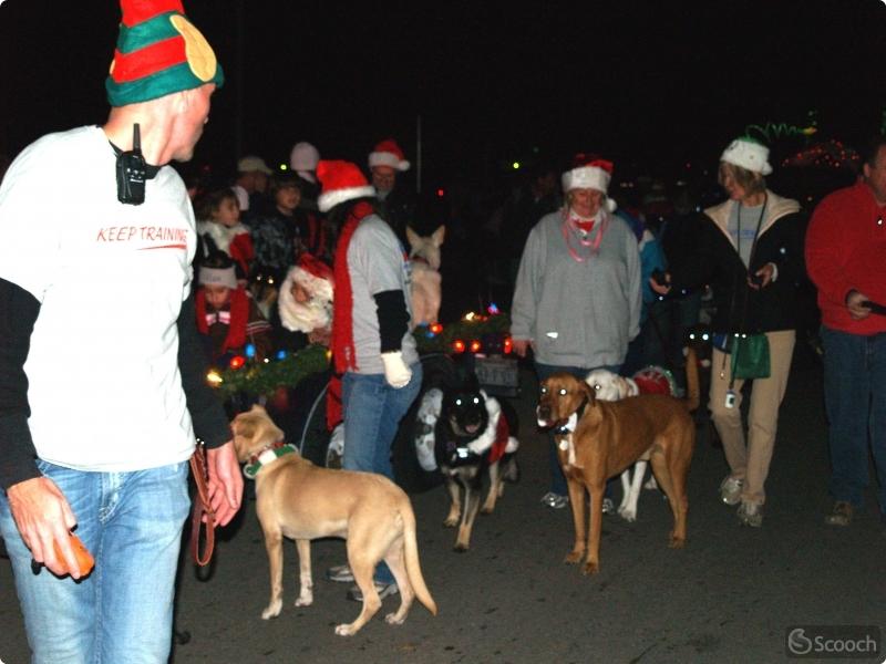 Parade of Lights
