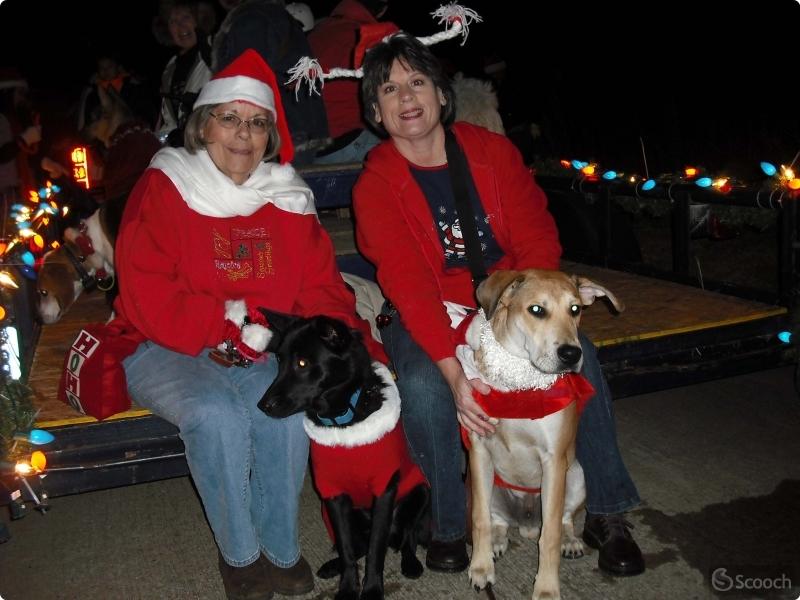 Parade of Lights